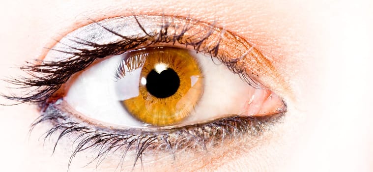 close up of the eyes of a pretty young girl