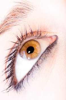 close up of the eyes of a pretty young girl