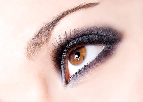 close up of the make up of a beautiful broun eye