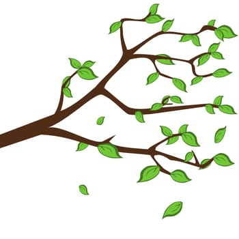 Branch with green leafs