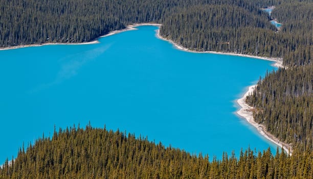 Peyto Lake, Icefields Parkway, Banff National Park, Canadian Rockies, Alberta, Canada