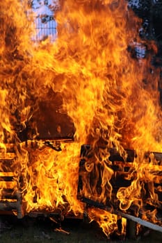 Big fire with blazing flames close-up