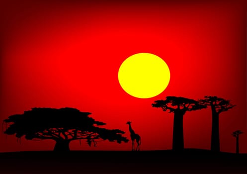 Abstract illustration of the sunset in Africa