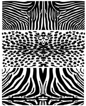 Illustration of the patterns of african animals