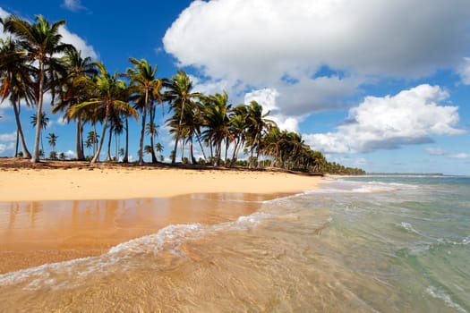 beach
