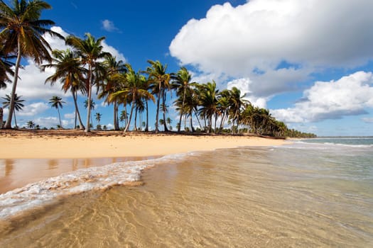 the most beautiful beach