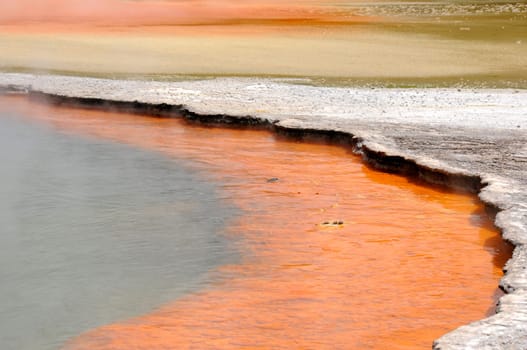 Champagne Pool