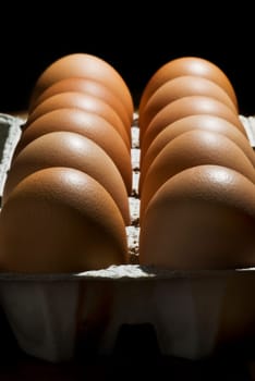 A dozen eggs in the carton with black background.