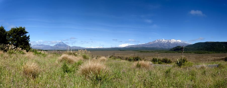 Tongariro National Park