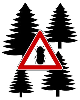 Spruce bark beetle attention