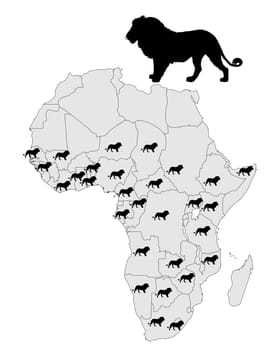 Occurrence of lion