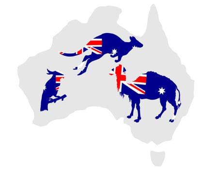 Australian Animals
