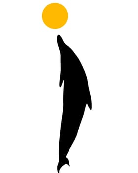 Dolphins Silhouette