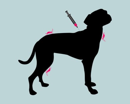 Dog gets vaccination against disease due to mosquito bite