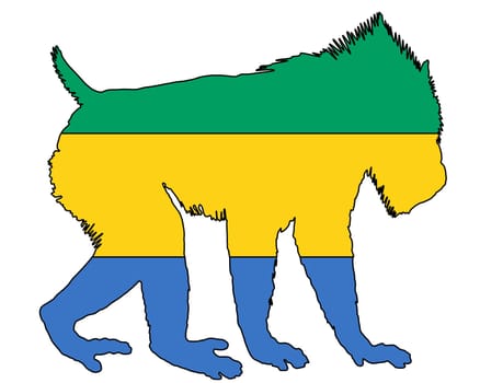 Mandrill Gabon