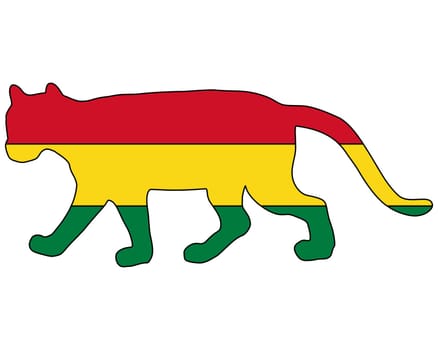 Puma Bolivia