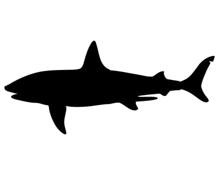 Basking shark silhouette