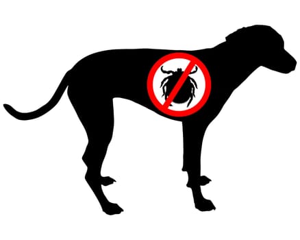 Dog Forbidden Tick
