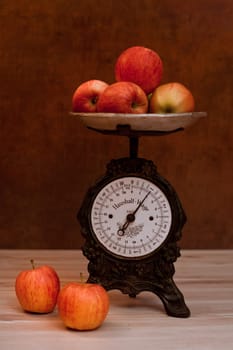 Grandma's Kitchen Scale IV