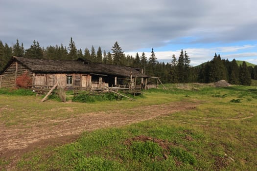 an abandoned house near a forest of trees