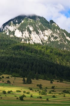 a green pasture near Piatra Craiului Mountains, Romania