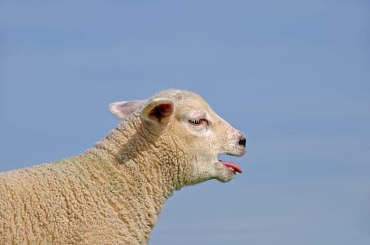 Passover
