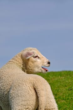 Passover