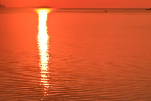 reflection of the sun at sunrise on sea
