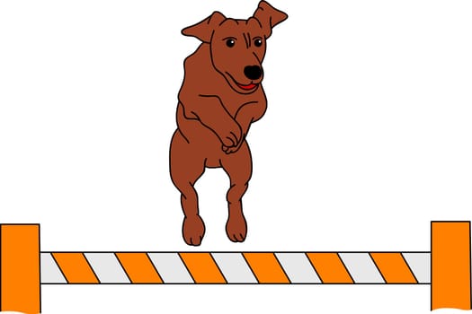 vector - dog agility , isolated on background