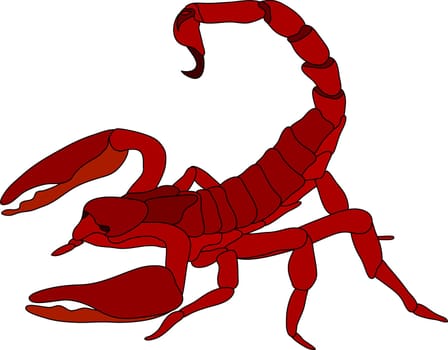 vector - color scorpion isolated on white background