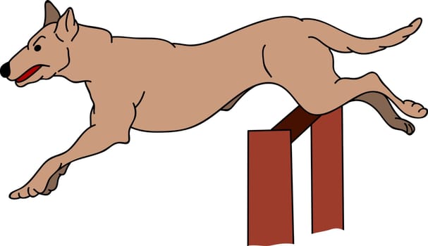 vector - dog agility , isolated on background