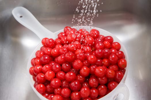 Closeup image of tart cherries rinsed in a colander