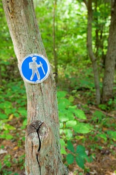 Small hiking trail sign nailed to a dead tree