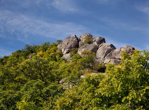 Asian hiker looks over valley in the Shenandoah on a climb of Old Rag