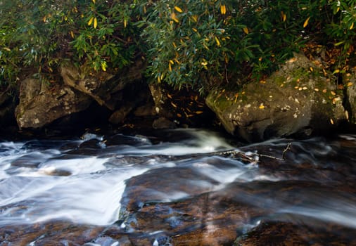 Fallen leaves in fall in river by edge of waterfall