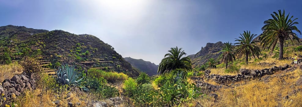 Valley of Imada,La Gomera