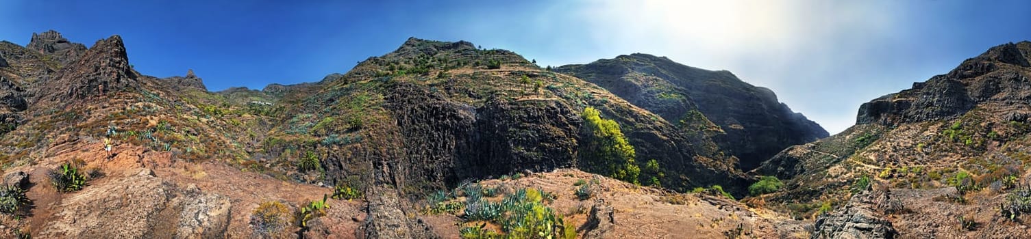 Barranco de Guarimiar,La Gomera
