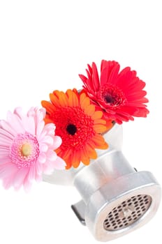 Conceptual photo with mincing machine and flowers isolated on white