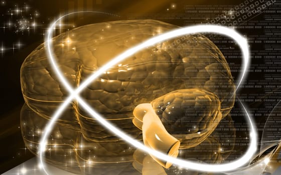 Digital illustration of brain in colour background