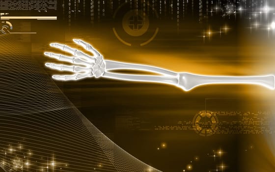 Digital illustration of hand bone in colour background