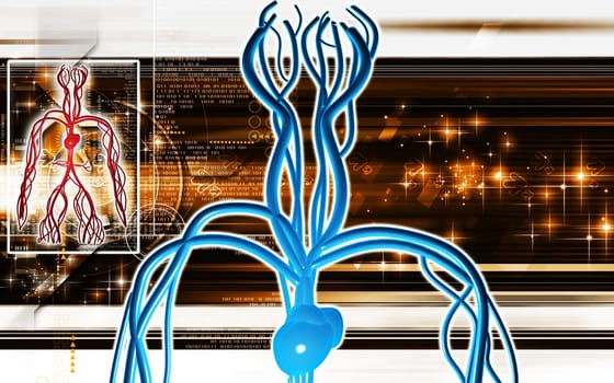 Digital illustration of vascular system in colour background
