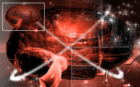 Digital illustration of brain in colour background