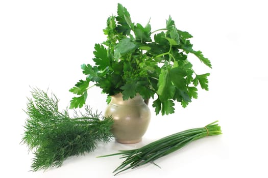 Various kitchen herbs against white background
