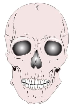 Illustration of the skulls - warning symbol