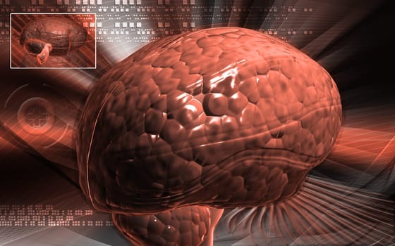 Digital illustration of brain in colour background