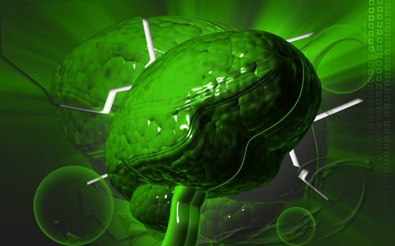 Digital illustration of brain in colour background