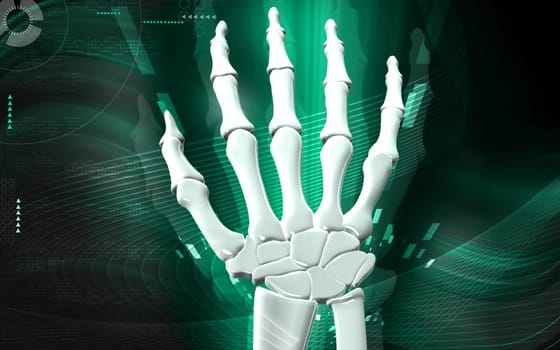 Digital illustration of hand bone in colour background