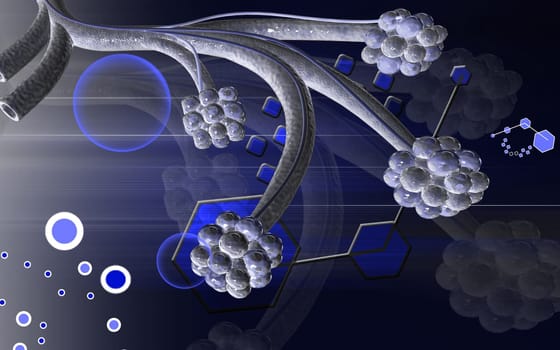 Digital illustration of alveoli in colour background