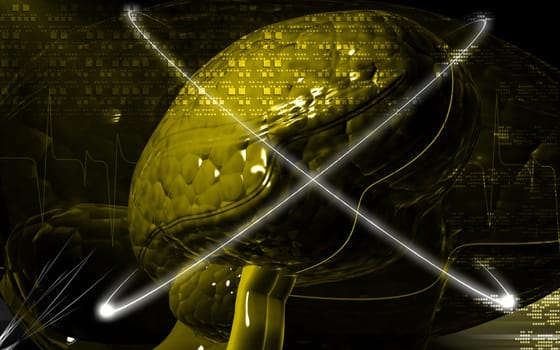 Digital illustration of brain in colour background