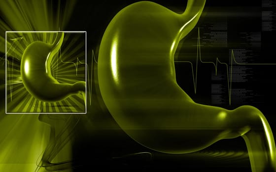 Digital illustration of stomach in colour background